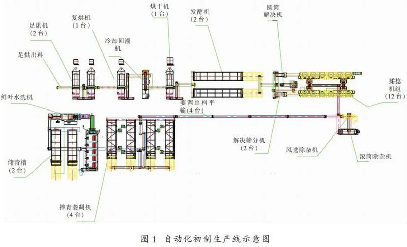 滇红茶洁净化自动化生产线建设与应用米乐M6 M6米乐(图1)