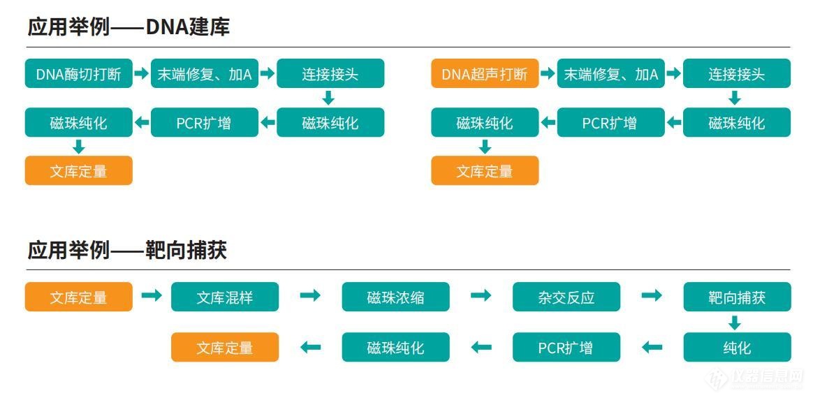 米乐M6 M6米乐Vitae NGS自动化文库构建工作站-睿科生化-新品(图2)